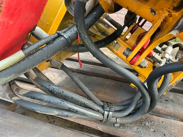 Damoon bomenrooier - afbeelding 6 van  14