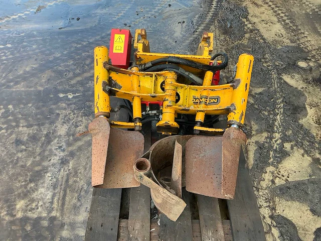 Damoon bomenrooier - afbeelding 7 van  14