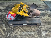 Damoon bomenrooier - afbeelding 9 van  14