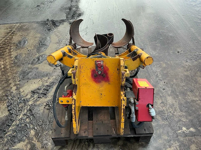 Damoon bomenrooier - afbeelding 11 van  14