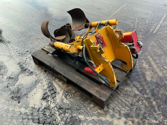 Damoon bomenrooier - afbeelding 12 van  14