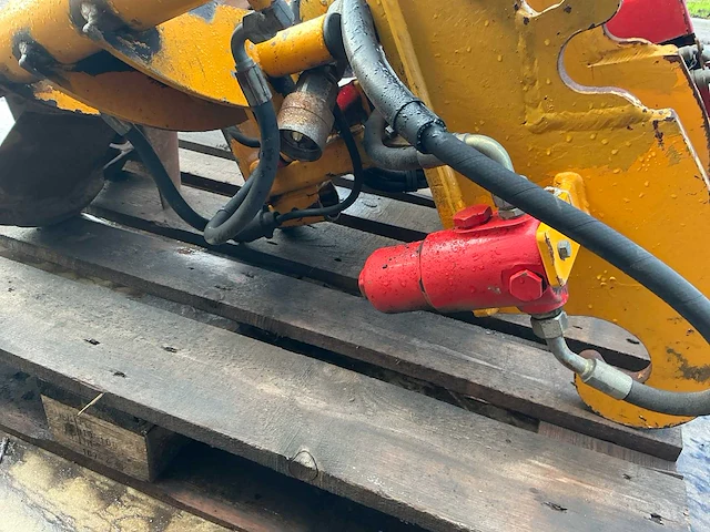 Damoon bomenrooier - afbeelding 13 van  14