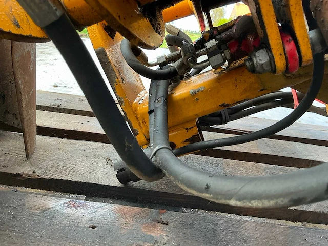 Damoon bomenrooier - afbeelding 14 van  14