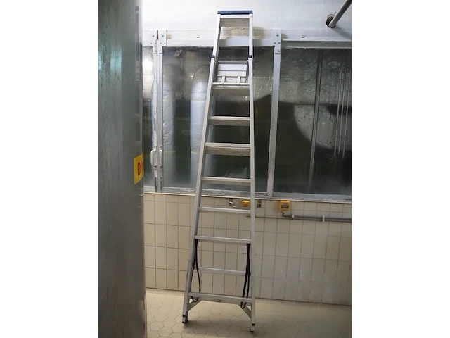 Das - afbeelding 3 van  4