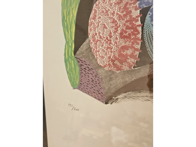David hockney litho - afbeelding 4 van  6