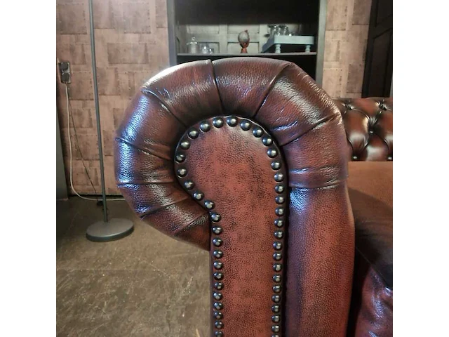 Daybed, chesterfield, brighton, bruin - afbeelding 4 van  5