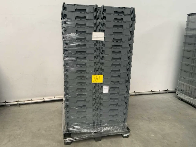 Dbp-105 distributie bak met deksel 600x400x250mm (78x) - afbeelding 8 van  10
