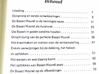 De bassethound - afbeelding 3 van  5