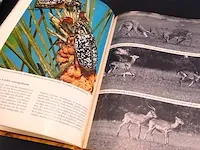 De dieren en hun gedrag - afbeelding 5 van  5