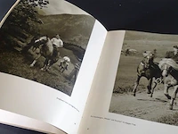 De haflinger in tirol - afbeelding 4 van  5