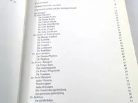 De koninklijke stallen - afbeelding 4 van  5