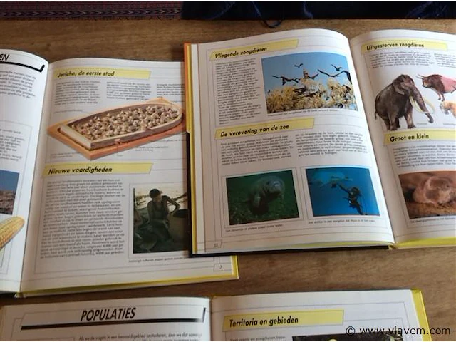 De wereld vandaag 3stuks - afbeelding 2 van  3