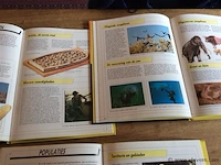 De wereld vandaag 3stuks - afbeelding 2 van  3