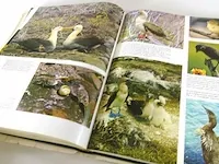 De wondere wereld der natuur - afbeelding 4 van  5