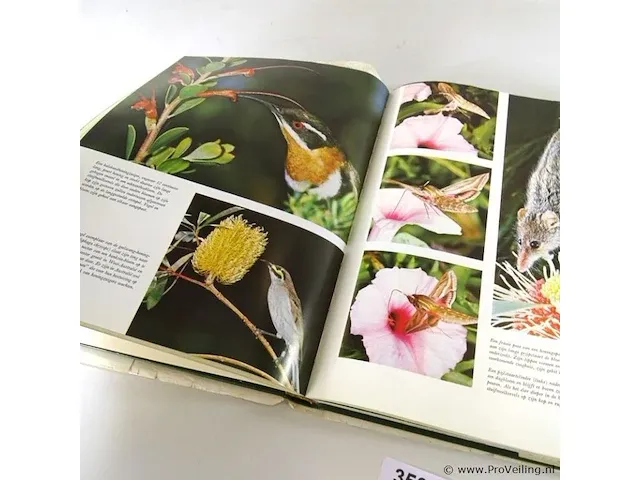 De wondere wereld der natuur - afbeelding 5 van  5