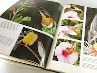 De wondere wereld der natuur - afbeelding 5 van  5