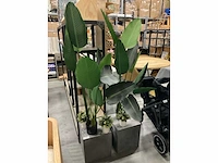 Decoratie (7x) - afbeelding 2 van  2