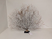 Decoratie stuk koraal brons - afbeelding 1 van  5