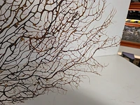 Decoratie stuk koraal brons - afbeelding 5 van  5