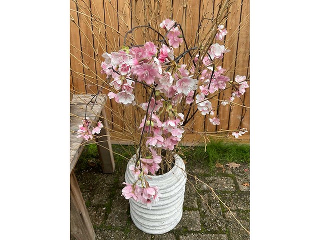 Decoratiebloempot (3x) - afbeelding 2 van  4