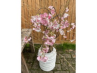 Decoratiebloempot (3x) - afbeelding 2 van  4