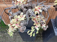 Decoratiebloempot op loden zuil (2x) - afbeelding 4 van  6