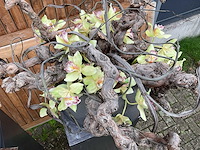 Decoratiebloempot op loden zuil (2x) - afbeelding 5 van  6