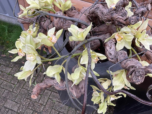 Decoratiebloempot op loden zuil (2x) - afbeelding 6 van  6