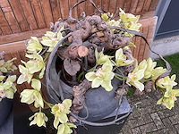 Decoratiebloempot op loden zuil (2x) - afbeelding 4 van  6