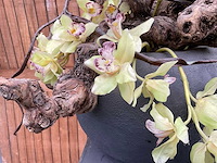 Decoratiebloempot op loden zuil (2x) - afbeelding 6 van  6