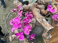 Decoratiebloempot op loden zuil (2x) - afbeelding 5 van  7