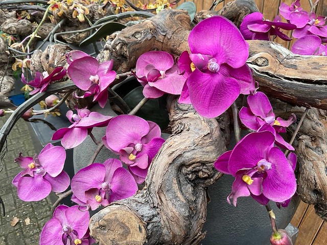 Decoratiebloempot op loden zuil (2x) - afbeelding 6 van  7