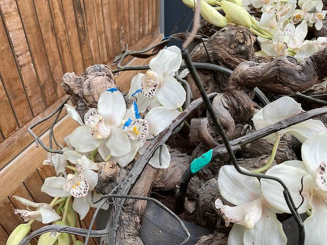 Decoratiebloempot op loden zuil (2x) - afbeelding 7 van  7