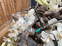 Decoratiebloempot op loden zuil (2x) - afbeelding 7 van  7