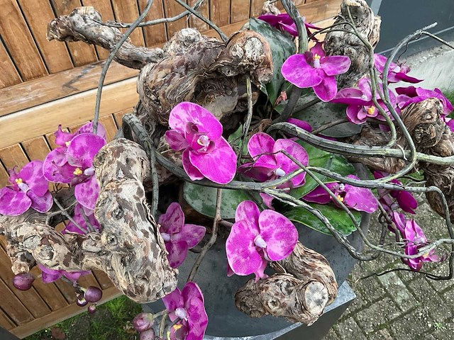 Decoratiebloempot op loden zuil (2x) - afbeelding 4 van  8