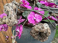 Decoratiebloempot op loden zuil (2x) - afbeelding 6 van  8