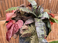 Decoratiebloempot op loden zuil - afbeelding 3 van  5