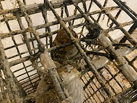 Decoratiemateriaal wijnfles in kooi - afbeelding 5 van  6