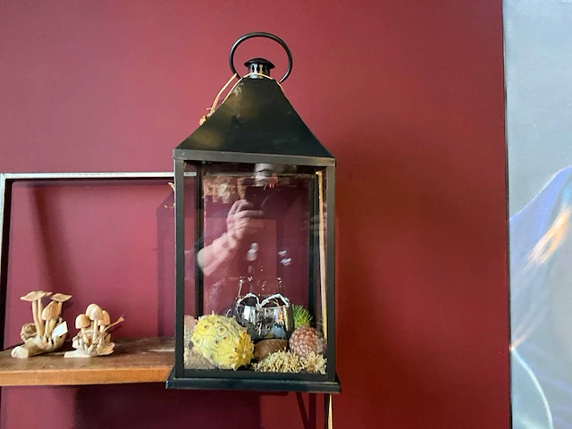 Decoratiemateriaal - afbeelding 2 van  16