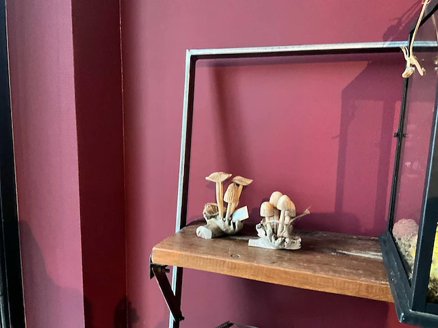 Decoratiemateriaal - afbeelding 3 van  16