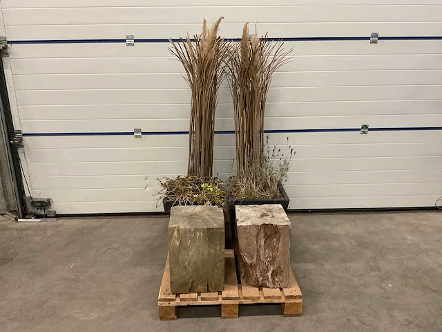 Decoratiemateriaal - afbeelding 1 van  5