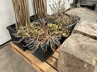 Decoratiemateriaal - afbeelding 3 van  5