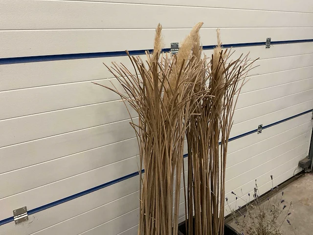 Decoratiemateriaal - afbeelding 5 van  5