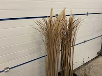 Decoratiemateriaal - afbeelding 5 van  5
