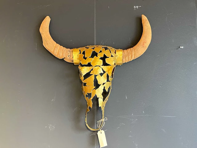 Decoratieve schedel met hoorns - afbeelding 1 van  4
