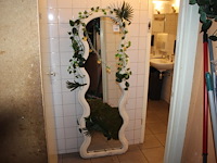 Decoratieve spiegel. afmeting 60 x 170 cm. - afbeelding 1 van  3