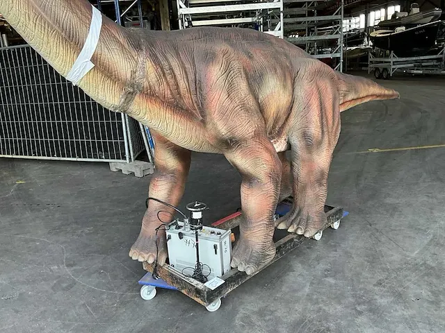 Decorfiguur “brachiosaurus” - afbeelding 8 van  14