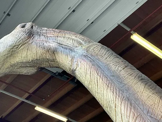 Decorfiguur “brachiosaurus” - afbeelding 13 van  14