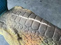 Decorfiguur “cryolophosaurus” - afbeelding 6 van  14