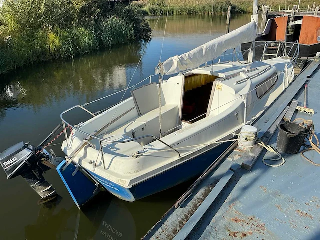 Dehler varianta kajuit zeiljacht - afbeelding 3 van  10